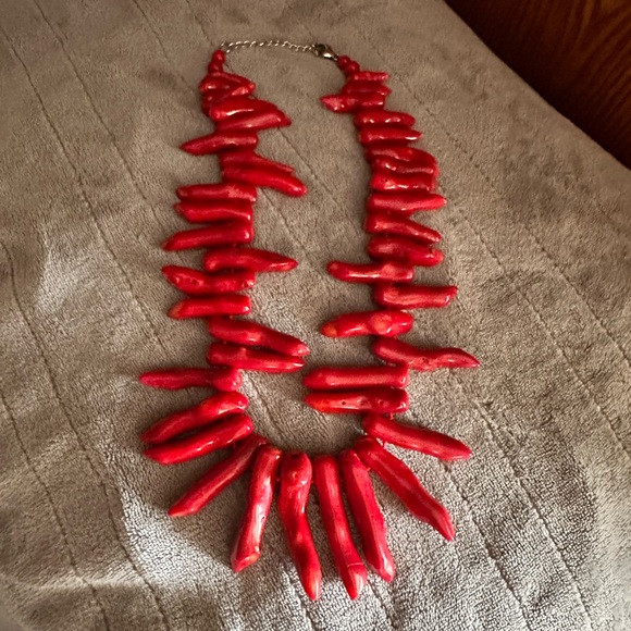 Large chunky Coral Necklace - Main Image